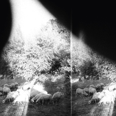 (image for) Godspeed You! Black Emperor : Asunder, Sweet And Other Distress