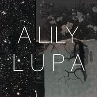 A Lily : Lupa LP A Lily : Lupa LP