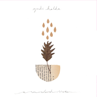 yndi halda : A Sun-Coloured Shaker one-sided LP yndi halda : A Sun-Coloured Shaker one-sided LP