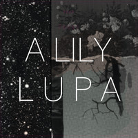 (image for) A Lily : Lupa LP